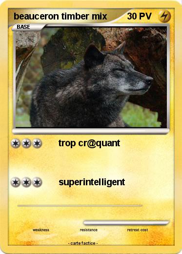 Pokemon beauceron timber mix