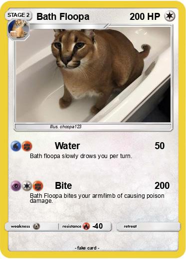 Pokemon Bath Floopa