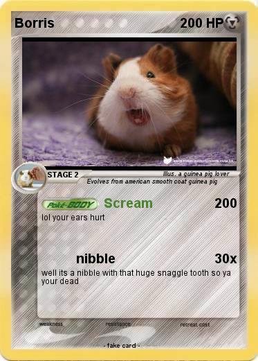 Pokemon Borris