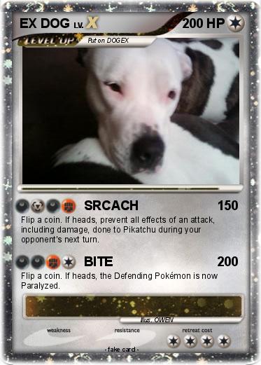 Pokemon EX DOG