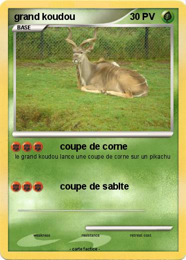 Pokemon grand koudou