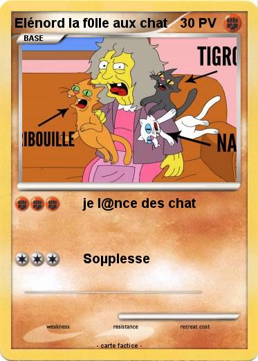 Pokemon Elénord la f0lle aux chat