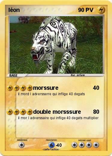 Pokemon léon