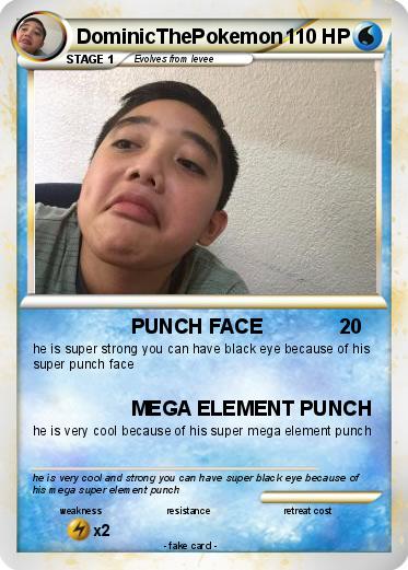 Pokemon DominicThePokemon