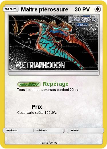 Pokemon Maître ptérosaure