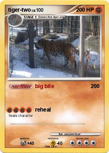 Pokemon tiger-two