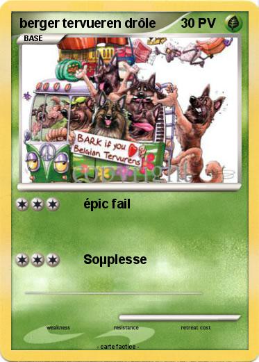 Pokemon berger tervueren drôle