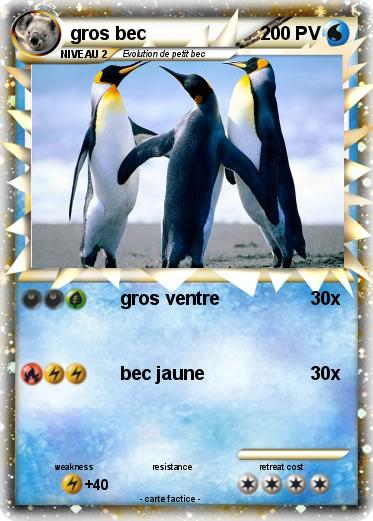 Pokemon gros bec