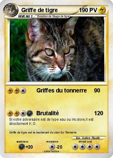 Pokemon Griffe de tigre
