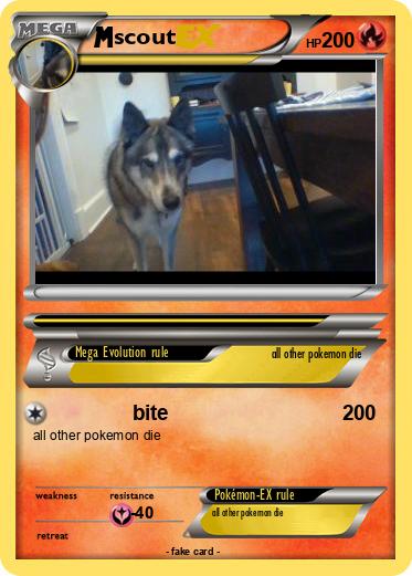 Pokemon scout
