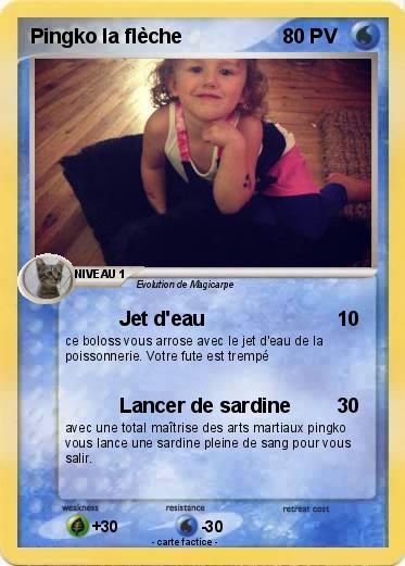 Pokemon Pingko la flèche