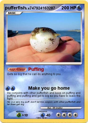 Pokemon pufferfish