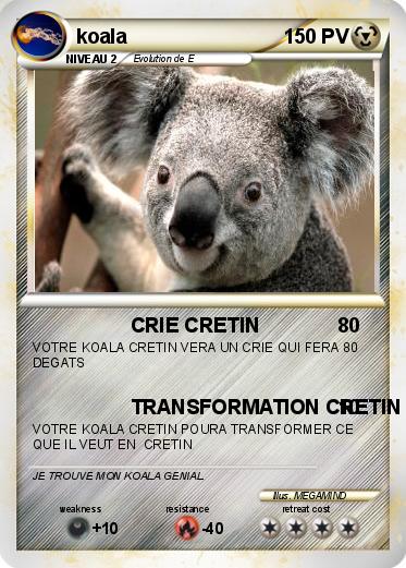 Pokemon koala