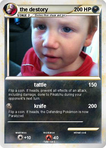 Pokemon the destory