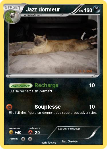 Pokemon Jazz dormeur