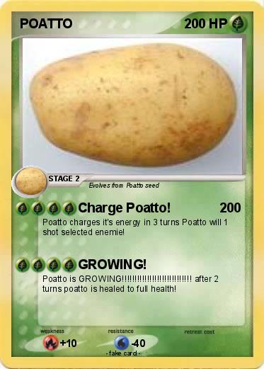 Pokemon POATTO