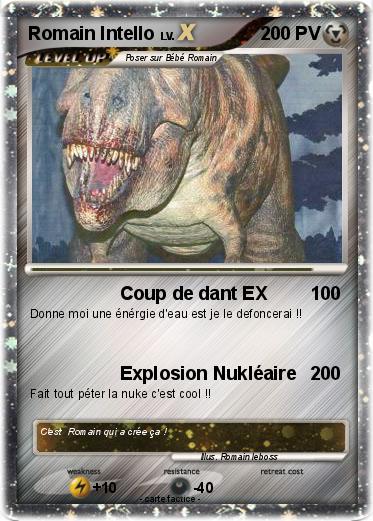 Pokemon Romain Intello