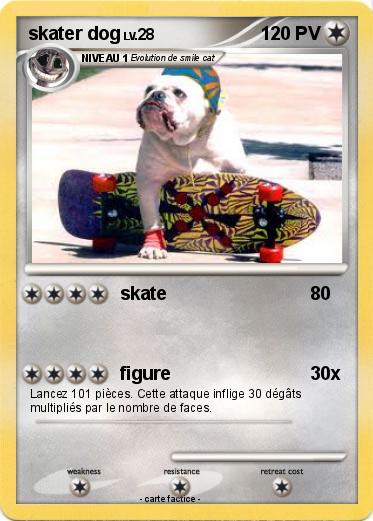 Pokemon skater dog