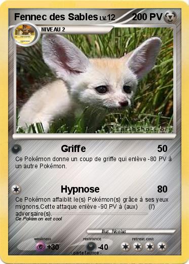 Pokemon Fennec des Sables