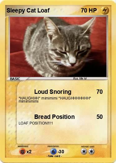 Pokemon Sleepy Cat Loaf