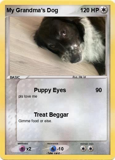 Pokemon My Grandma’s Dog