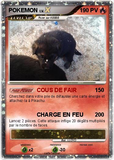 Pokemon POKEMON