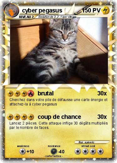 Pokemon cyber pegasus