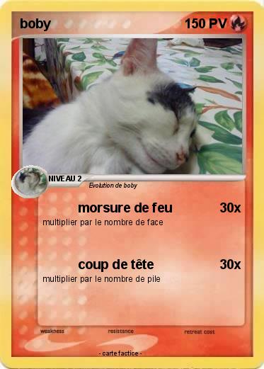 Pokemon boby