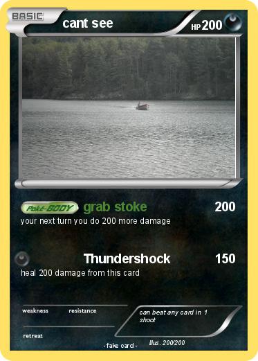 Pokemon cant see