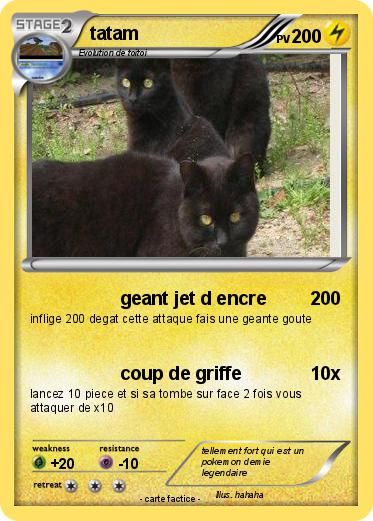 Pokemon tatam