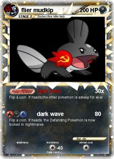 Pokemon flier mudkip