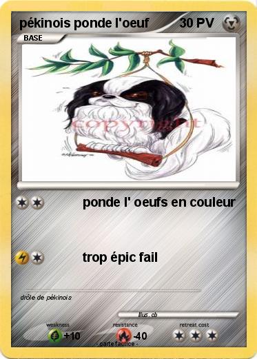 Pokemon pékinois ponde l'oeuf