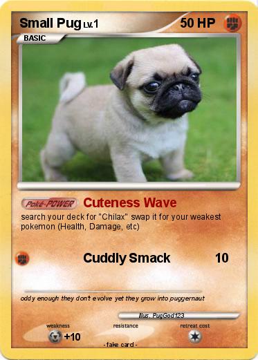 Pokemon Small Pug