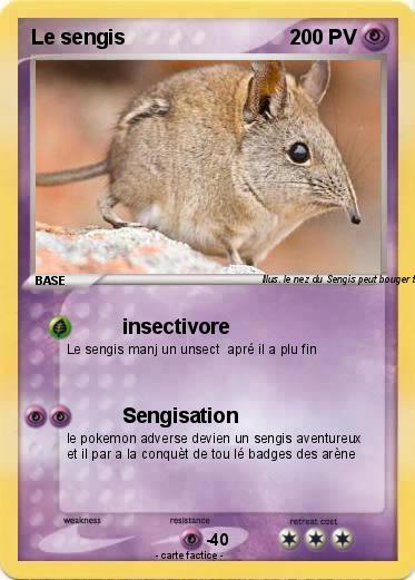Pokemon Le sengis