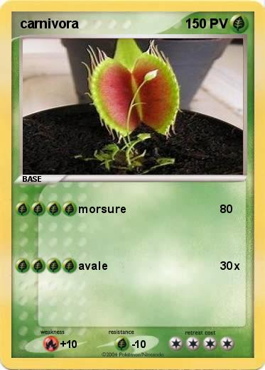 Pokemon carnivora