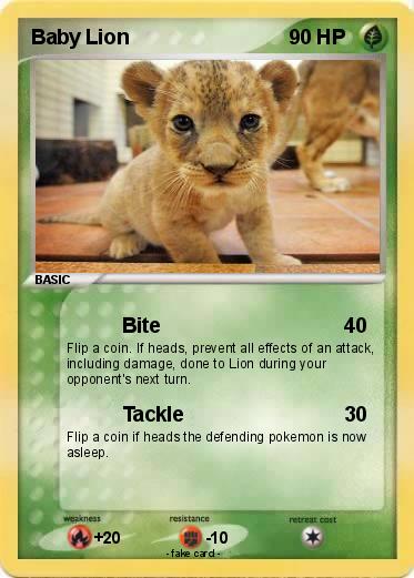 Pokemon Baby Lion