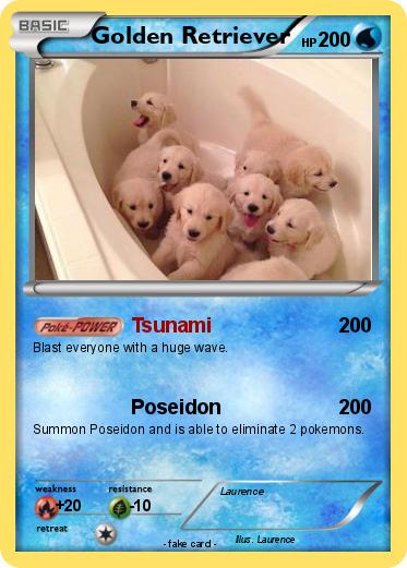 Pokemon Golden Retriever