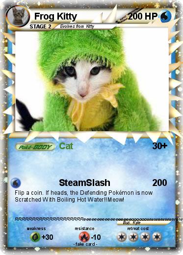 Pokemon Frog Kitty