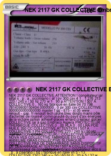 Pokemon NEK 2117 GK COLLECTIVE Embraco