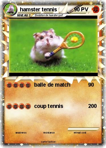 Pokemon hamster tennis