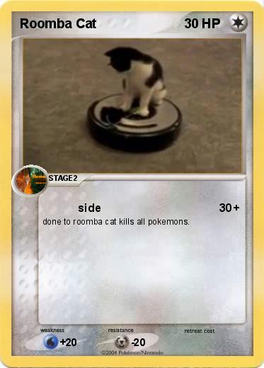 Pokemon Roomba Cat