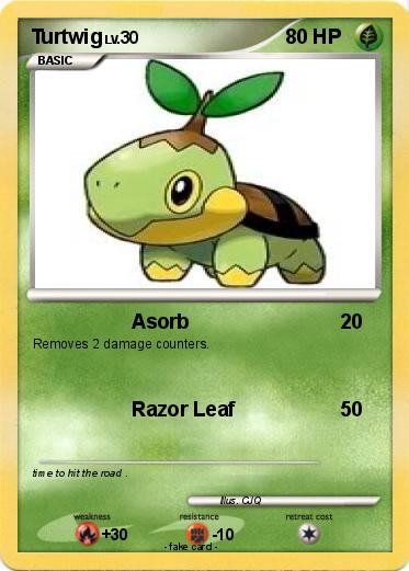 Pokemon Turtwig