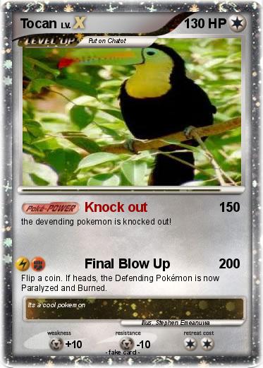 Pokemon Tocan