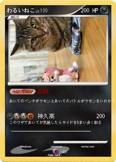 Pokemon わるいねこ