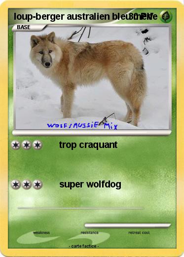 Pokemon loup-berger australien bleu merle