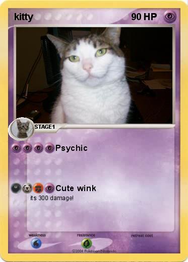 Pokemon kitty