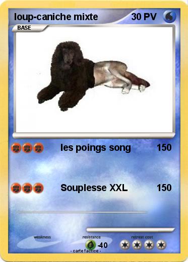 Pokemon loup-caniche mixte