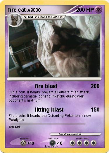 Pokemon fire cat