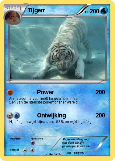 Pokemon Tijgerr