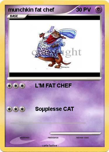 Pokemon munchkin fat chef